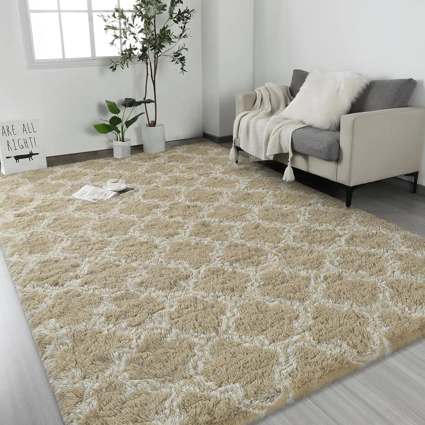 Area Rug