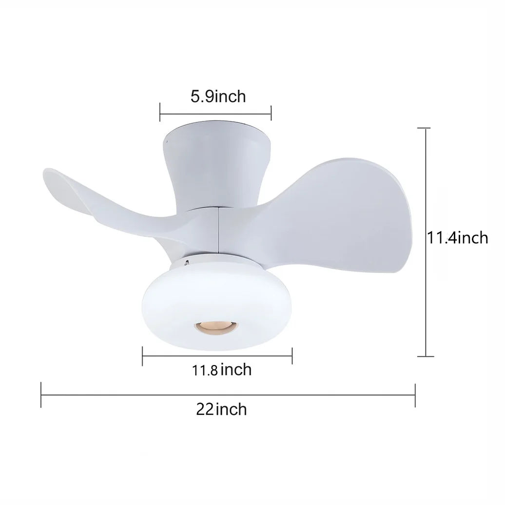 22" Ceiling Fan Light