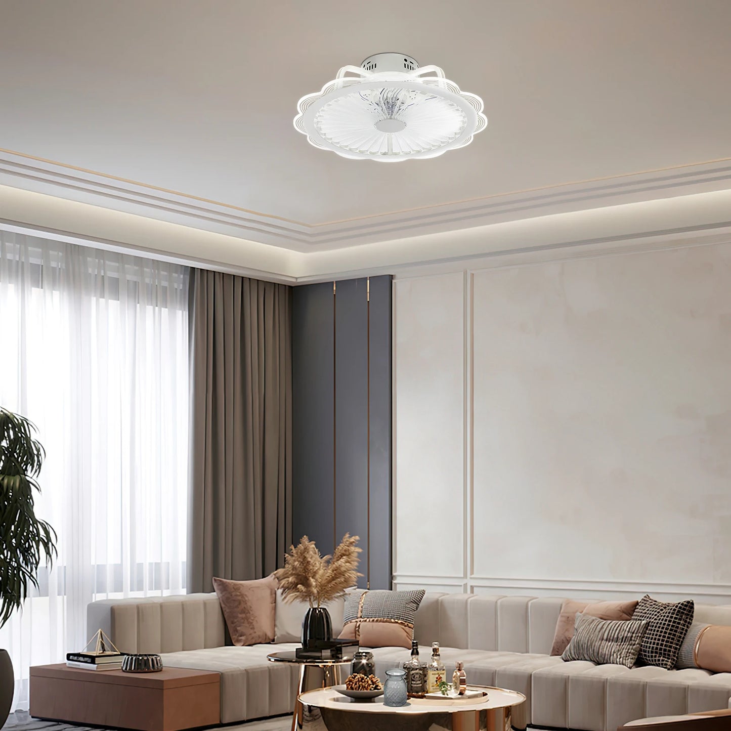 Ceiling Fan with Light