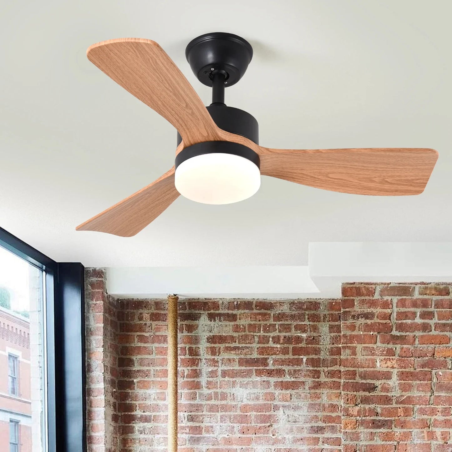 Ceiling Fan Lamp
