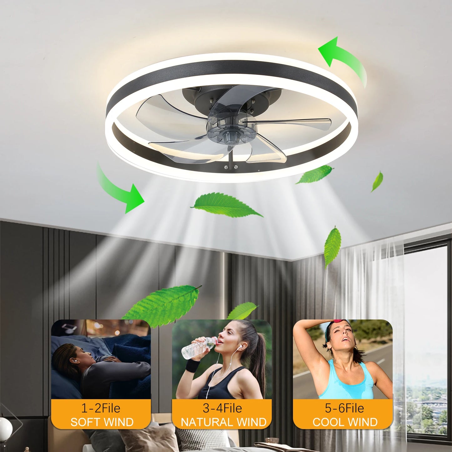 Ceiling Fans with Lights