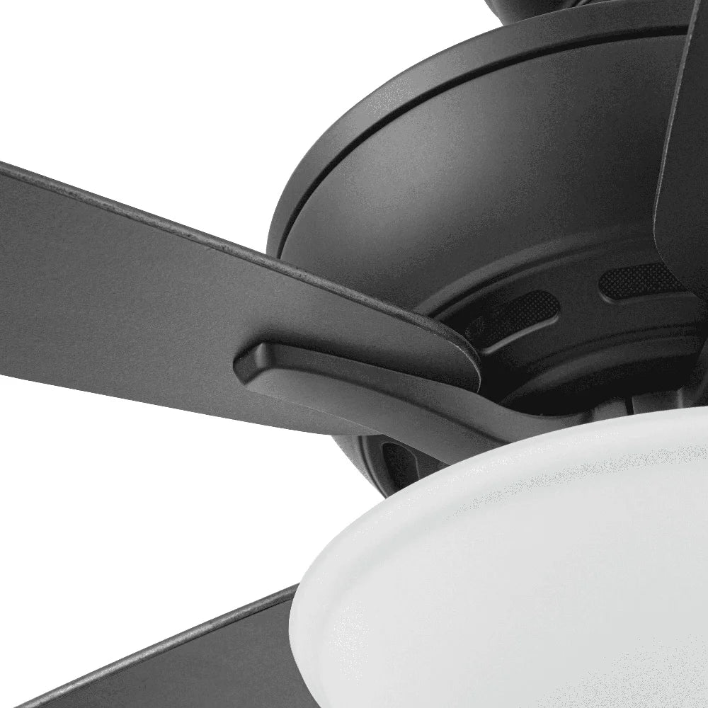 60" Ceiling Fan with Light