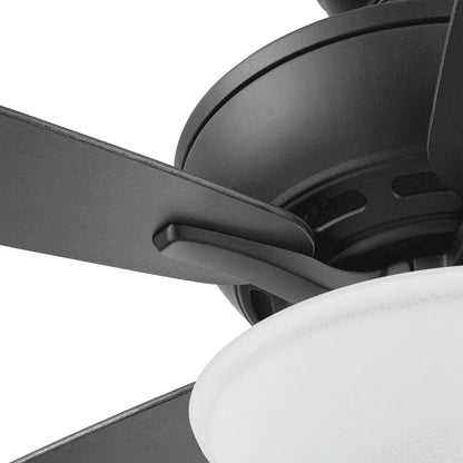 60" Ceiling Fan with Light