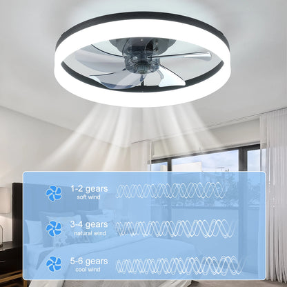 20" fan light