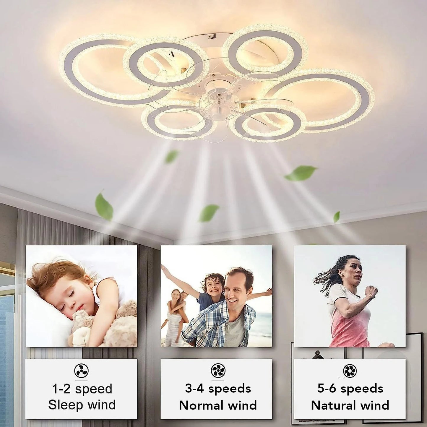 Ceiling Fan Light