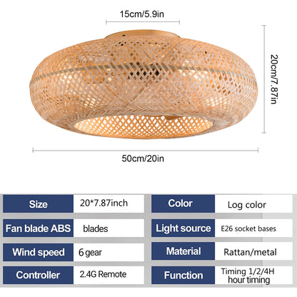 Caged Invisible Ceiling Fan with Light