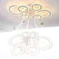 Ceiling Fan Light