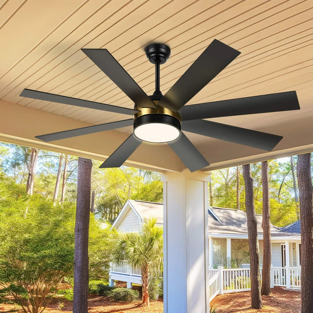 60" Ceiling Fan with light