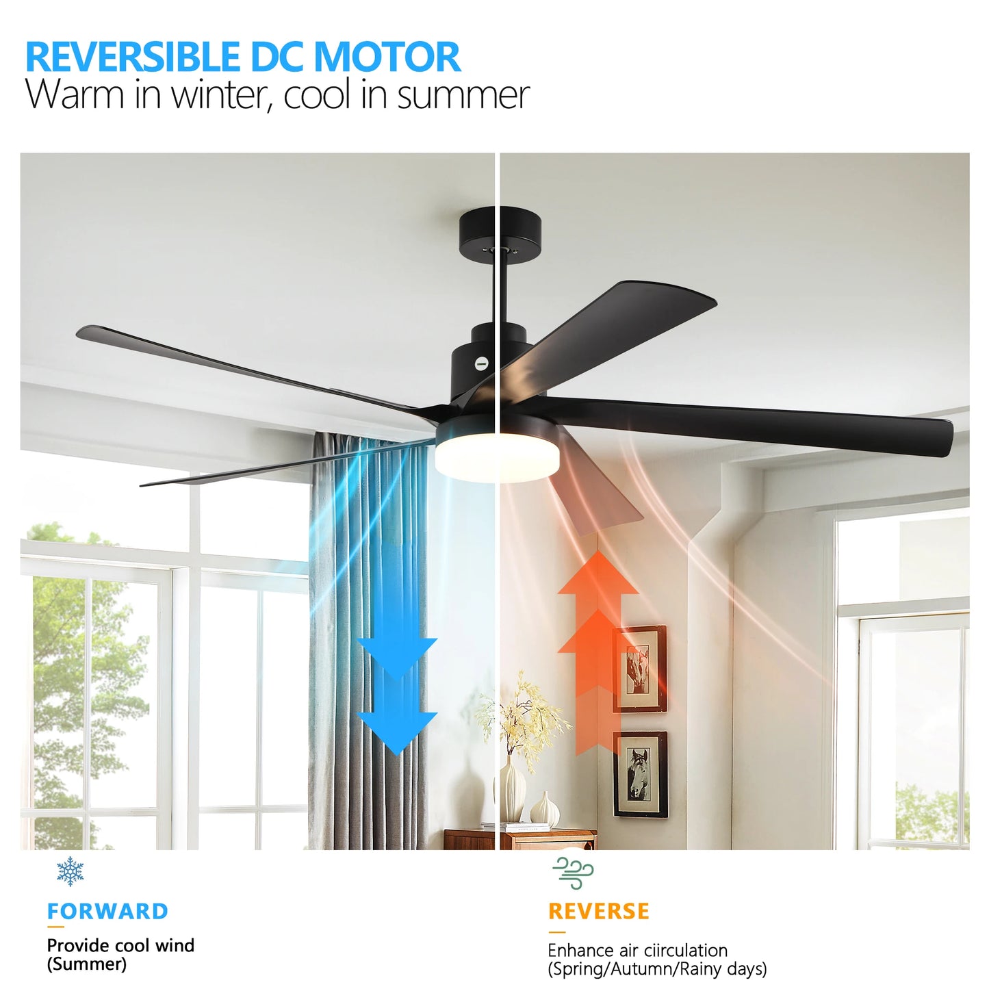 65" Ceiling Fan with Light