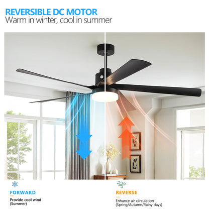 65" Ceiling Fan with Light