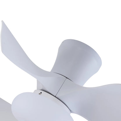 22" Ceiling Fan Light