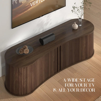 Modern TV Stand