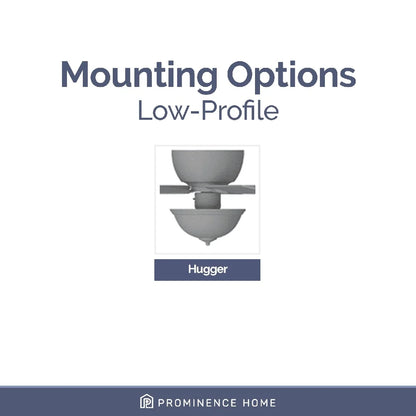 52" Ceiling Fan with light