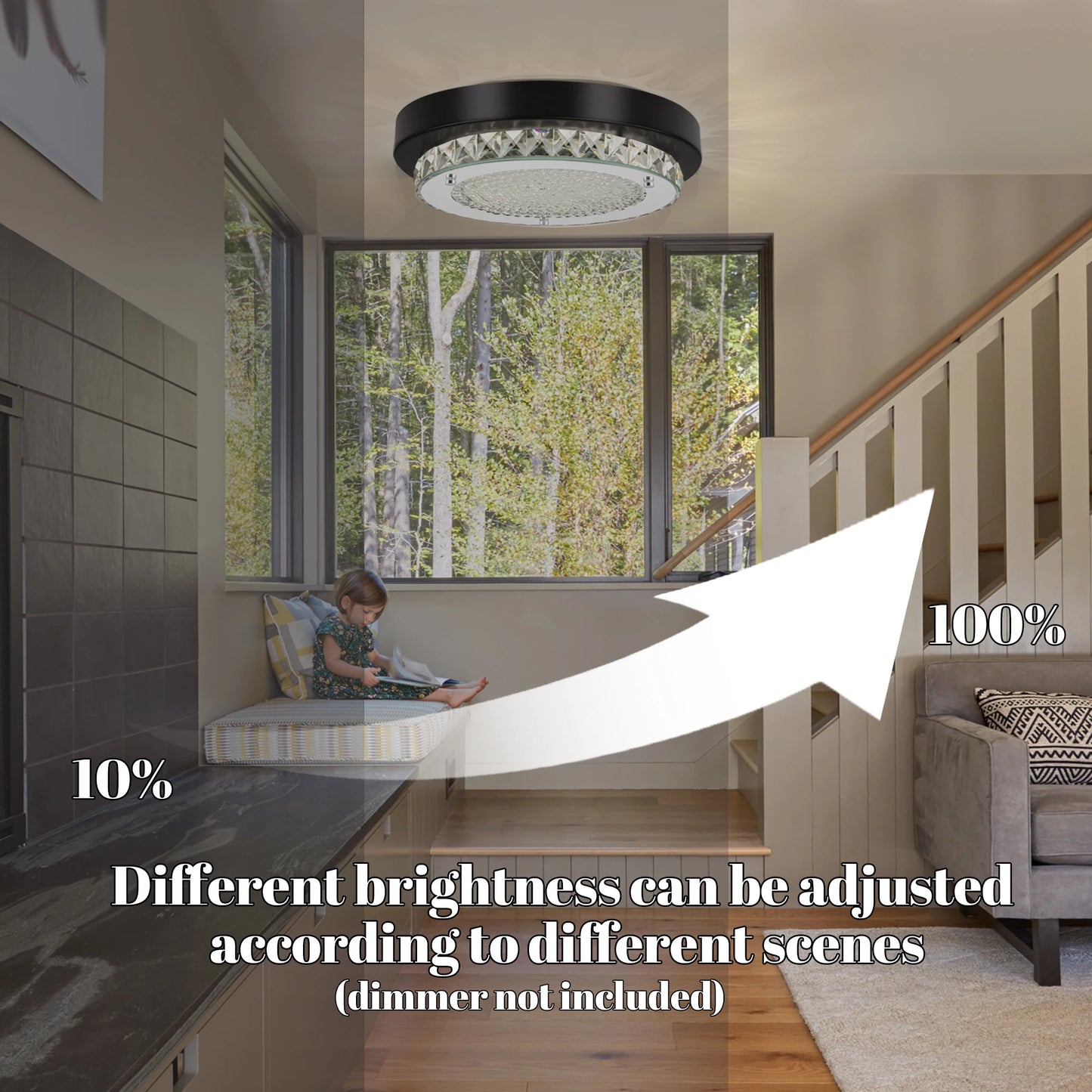 Ceiling Light Fixture