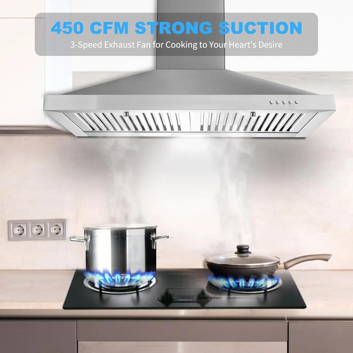 Exhaust Fan Range Hood