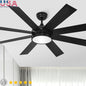 60" Ceiling Fan with light