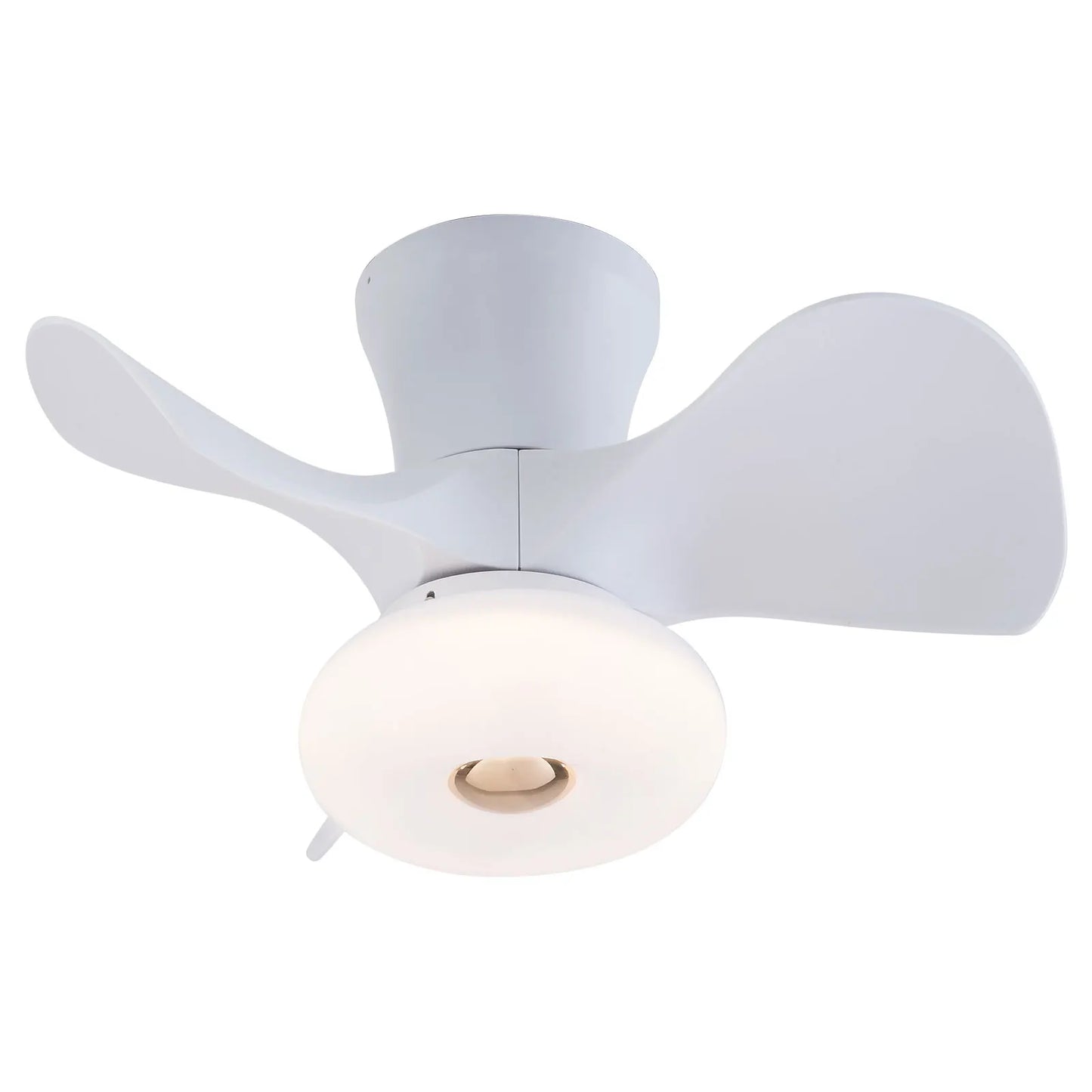 22" Ceiling Fan Light