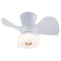 22" Ceiling Fan Light