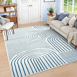8x10 Area Rug