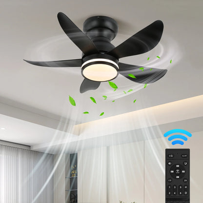 Ceiling Fan Lamp