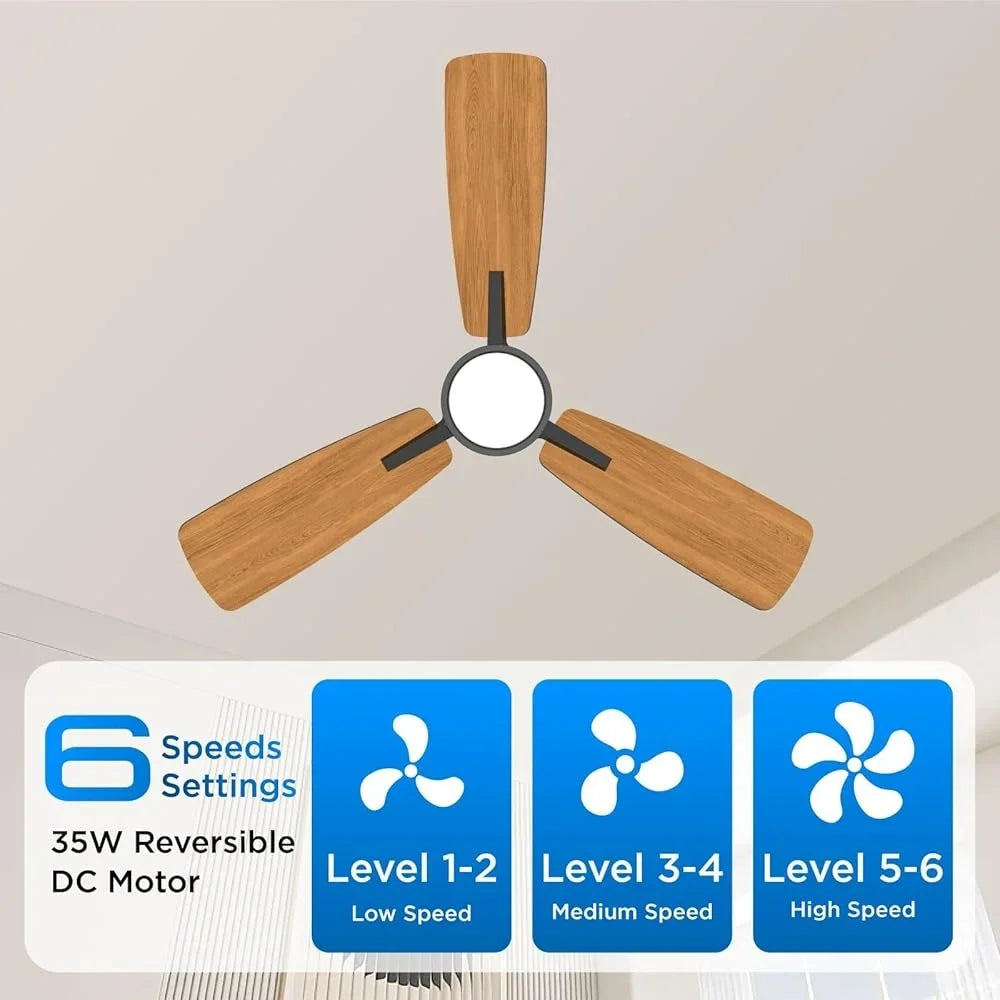 Modern Ceiling Fan with Light