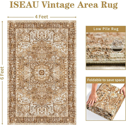 Area Rug