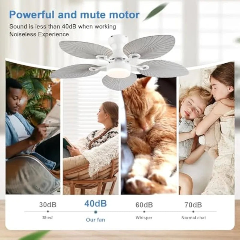 52"  Ceiling Fan with Light