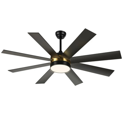 60" Ceiling Fan with light