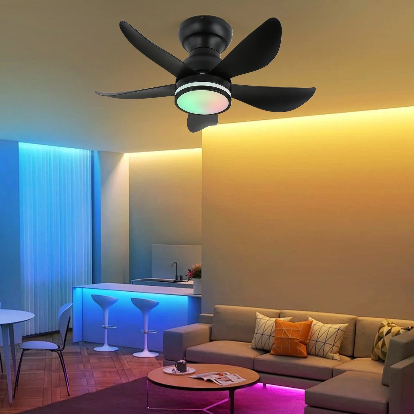 Ceiling Fan Lamp