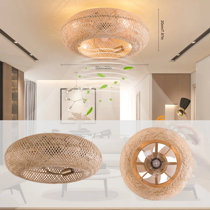 Caged Invisible Ceiling Fan with Light