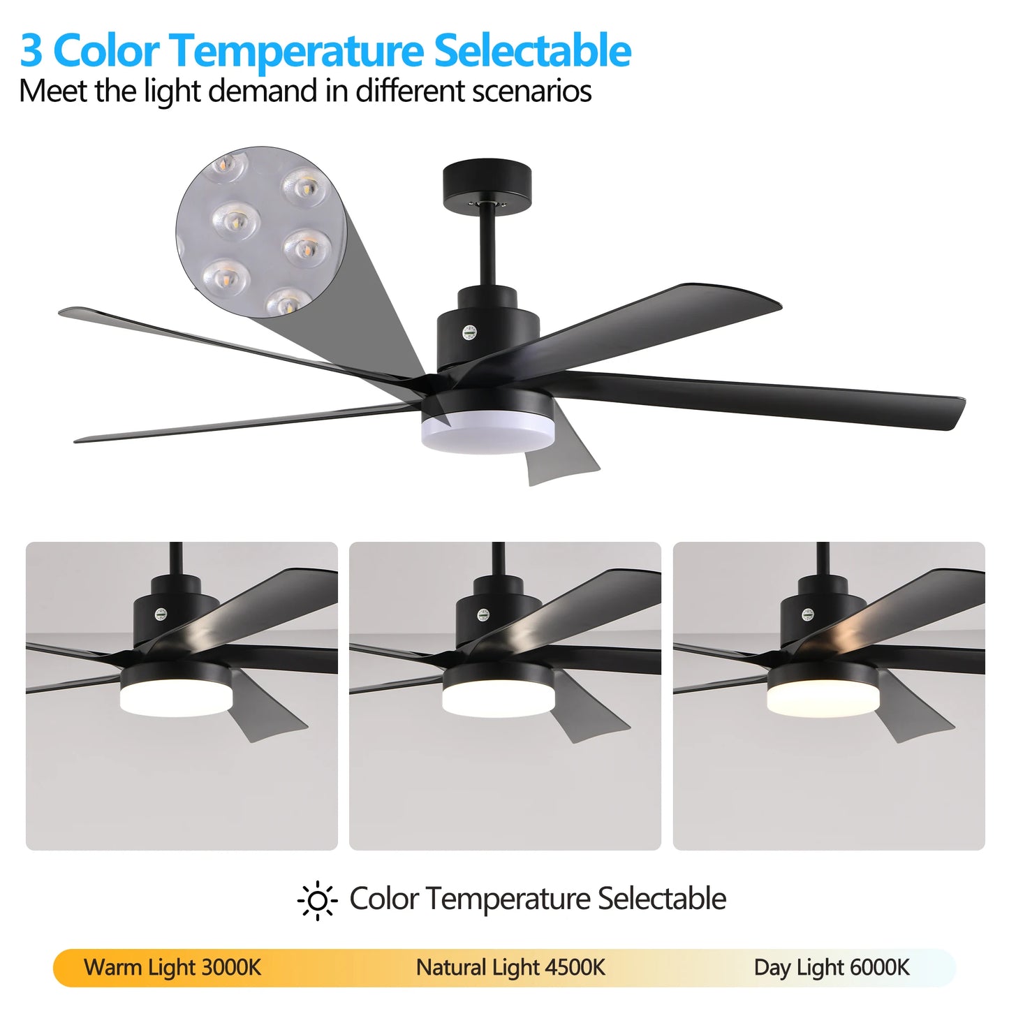 65" Ceiling Fan with Light