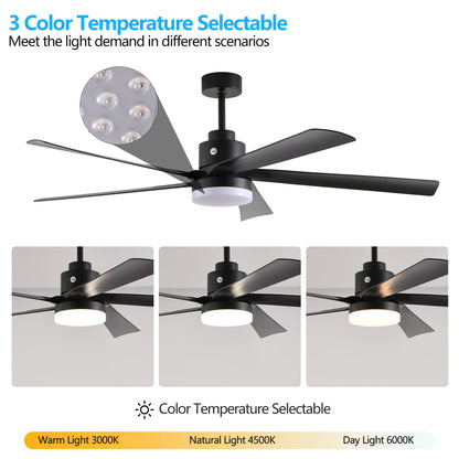 65" Ceiling Fan with Light