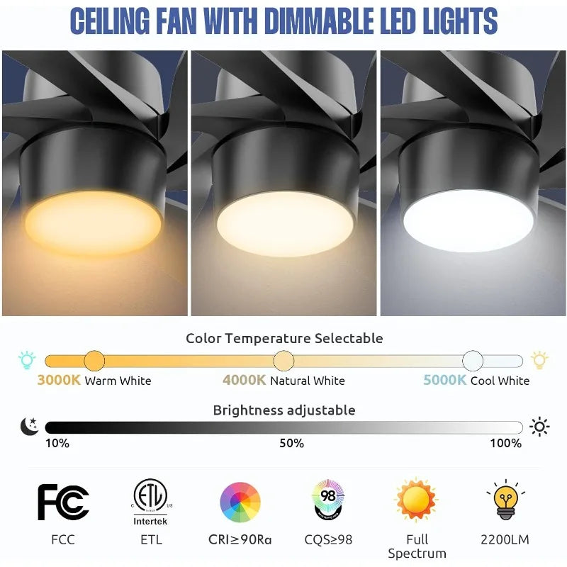 64 inch Black Ceiling Fan with Light