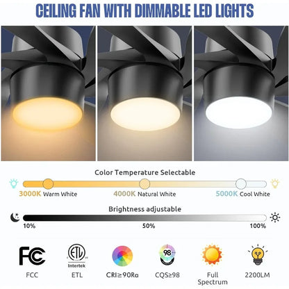 64 inch Black Ceiling Fan with Light