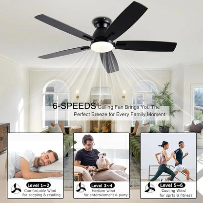 52 Inch Ceiling Fan with Light