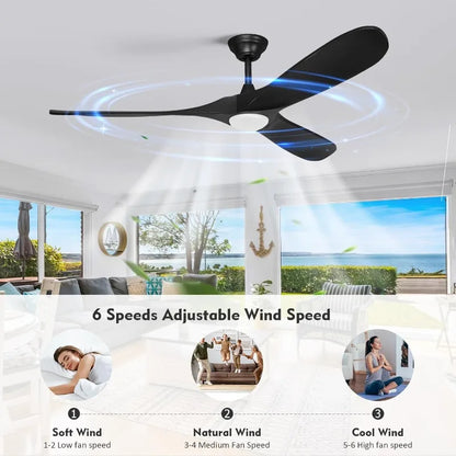52" Ceiling Fan With Light