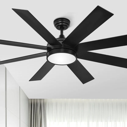 60" Ceiling Fan with light