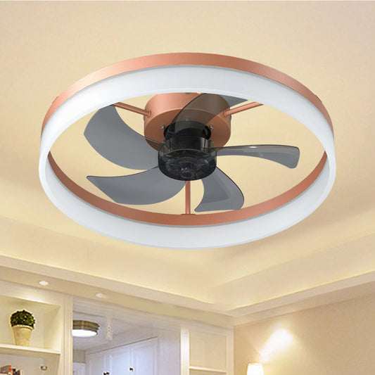 Ceiling Fan with LED Light