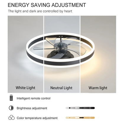 Ceiling Fans with Lights