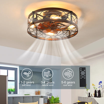 20" Caged Ceiling Fans with Lights