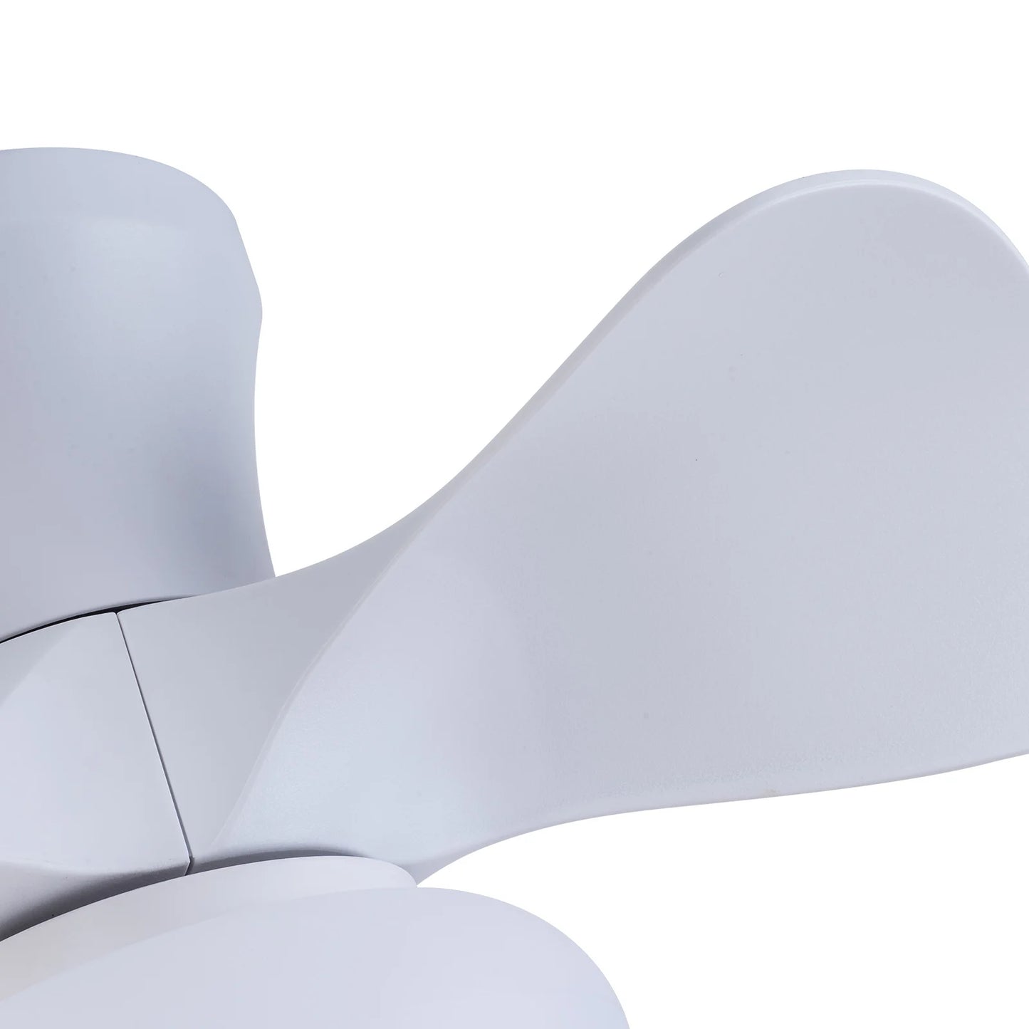 22" Ceiling Fan Light