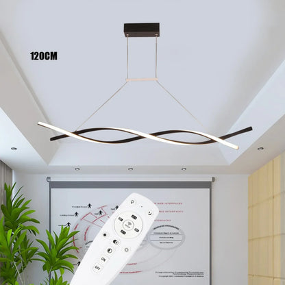 Ceiling Light Fixture