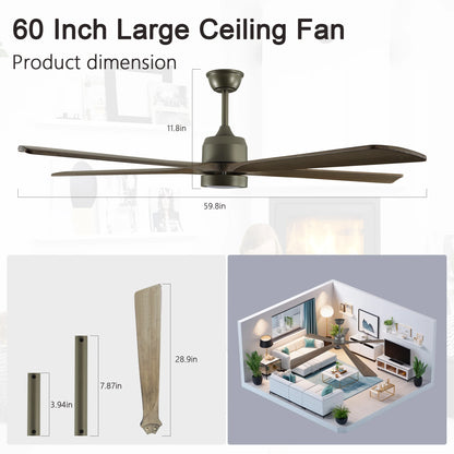 60"  Ceiling Fan with Light