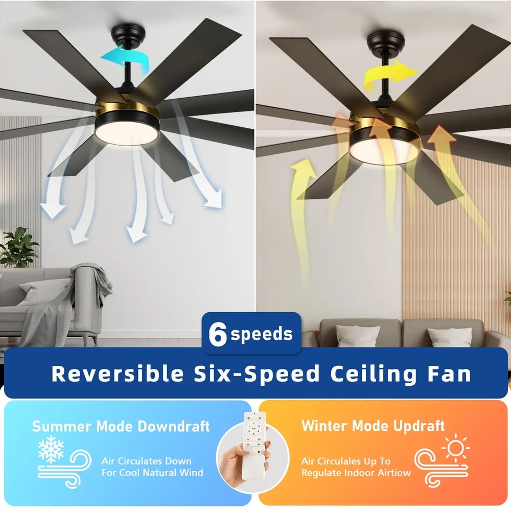 60" Ceiling Fan with light