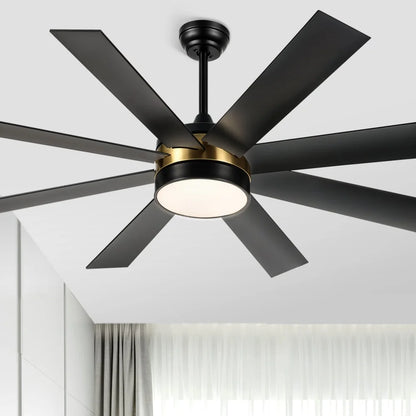 60" Ceiling Fan with light