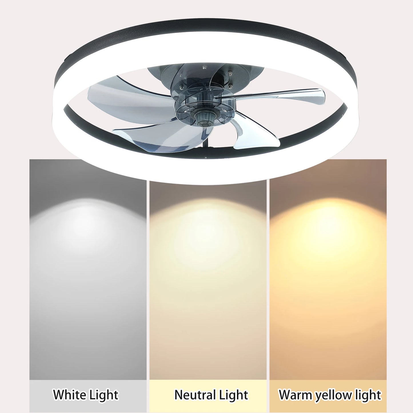 20" fan light
