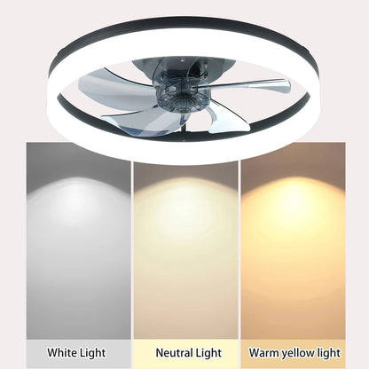 20" fan light