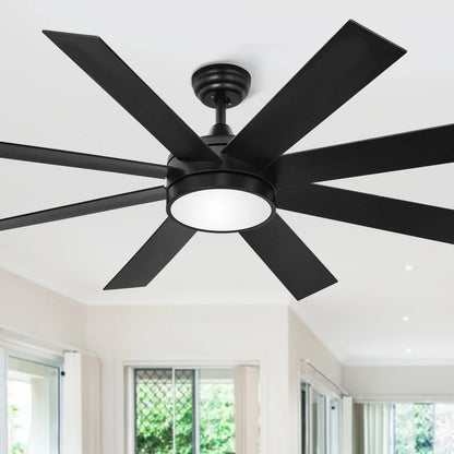 60" Ceiling Fan with light
