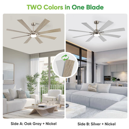 62"Ceiling Fan with Light