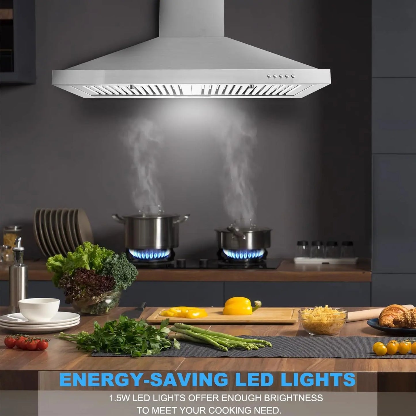 Exhaust Fan Range Hood